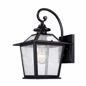 Bruggeman 1-Light Outdoor Wall Lantern