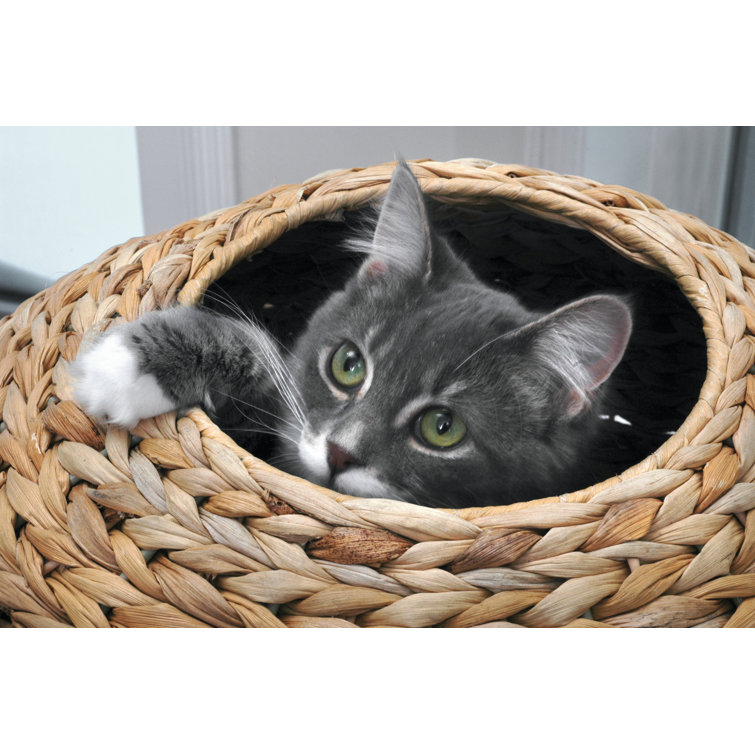 sphere scratch post cat tree