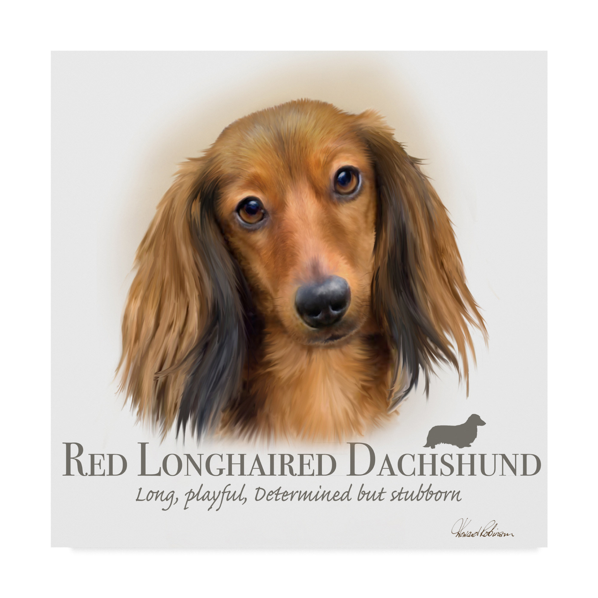 Trademark Art Red Longhaired Dachshund Graphic Art Print On