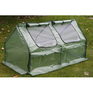Polytunnel Wayfair Co Uk Quickview