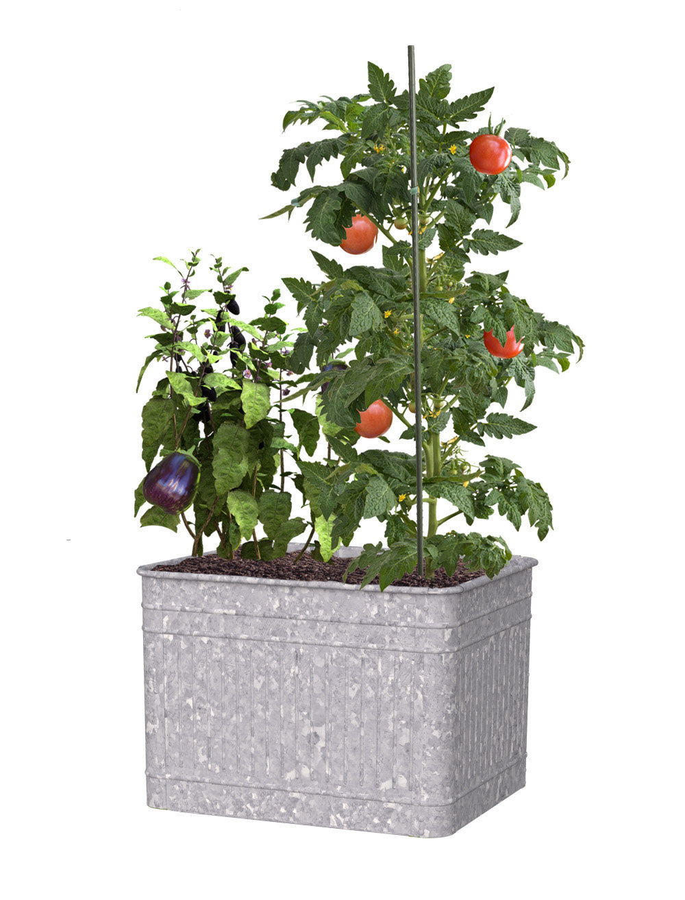 wayfair balcony planters on Gracie Oaks Gandy Galvanized Planter Box Wayfair