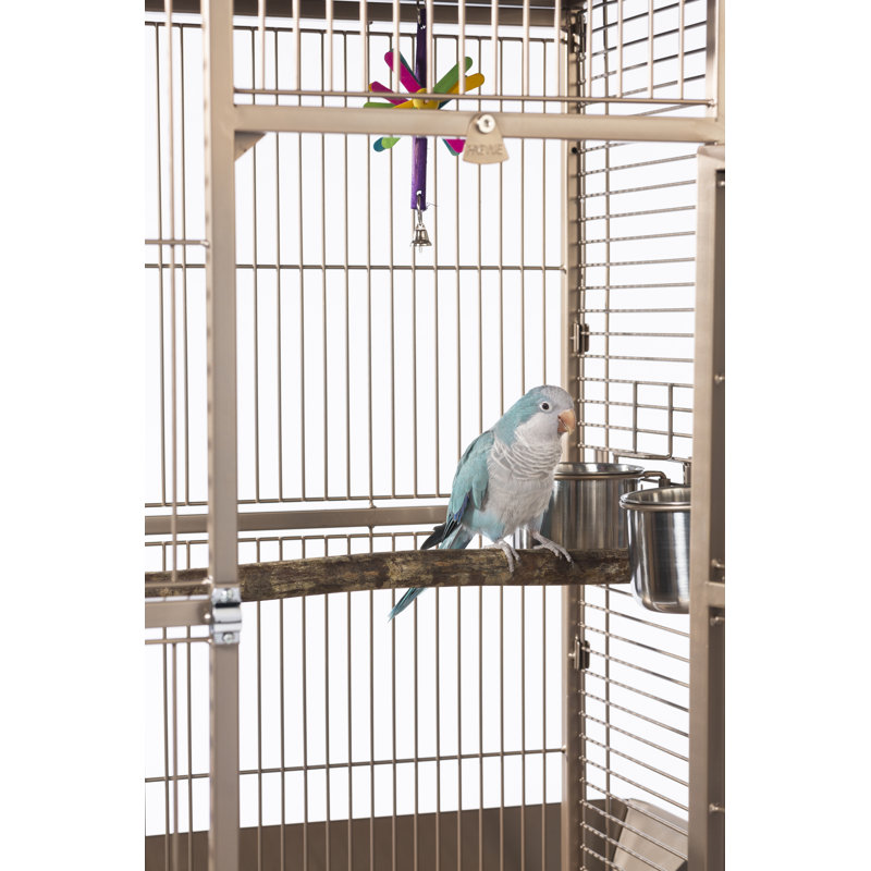 small cockatiel cage