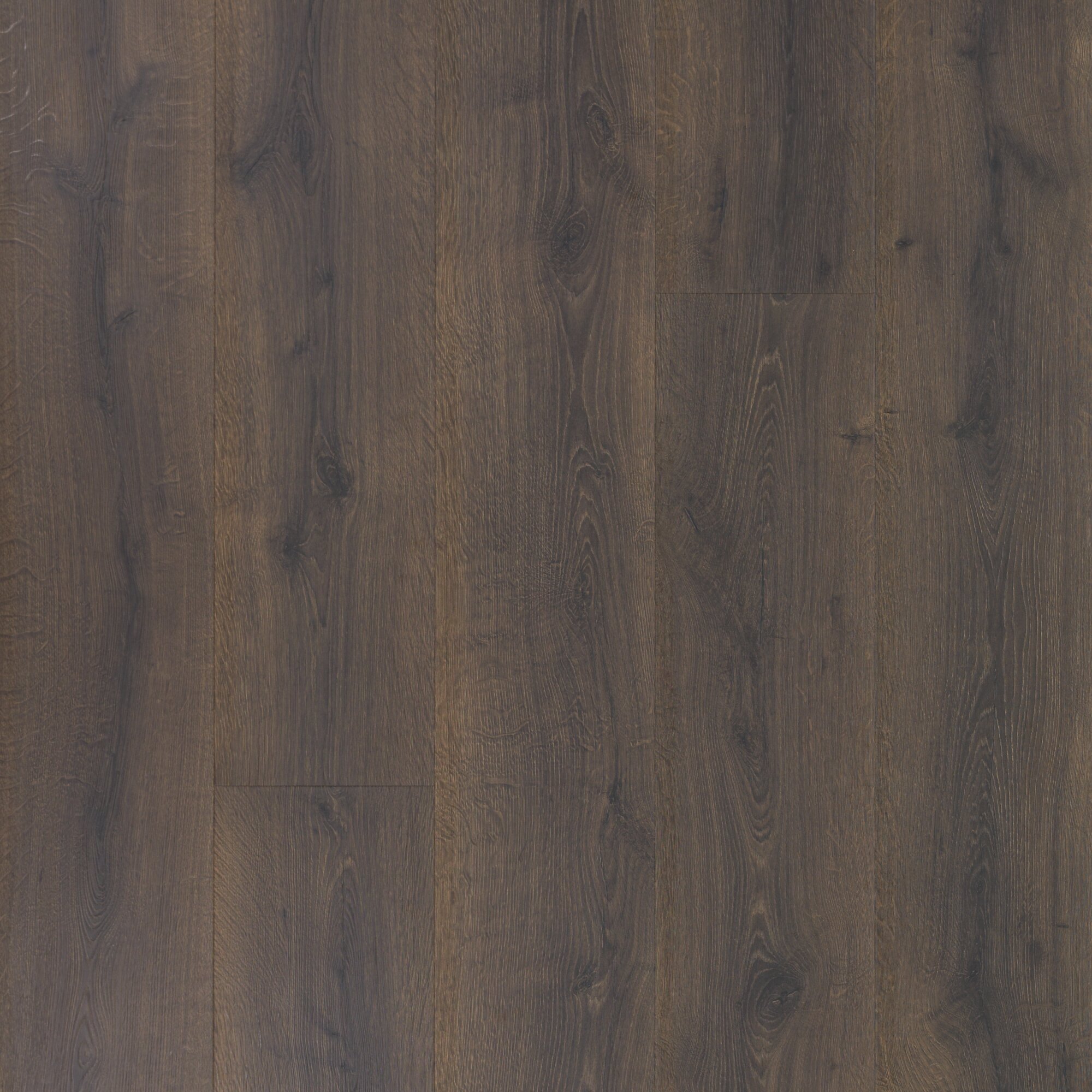 Quick Step Colossia 9 X 81 X 10mm Oak Laminate Flooring Wayfair
