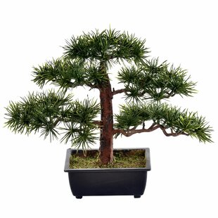 Artificial Norfolk Pine Tree Wayfair