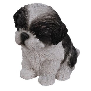 3D Rose Cute Brown and White Shih Tzu Purple with Paw Prints Towel 15 x 22 