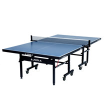 Mini Ping Pong Table Wayfair