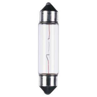 G9 Xenon Bulbs Wayfair Xenon Light Bulb