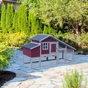 Chicken Coops Youll Love In 2019 Wayfair