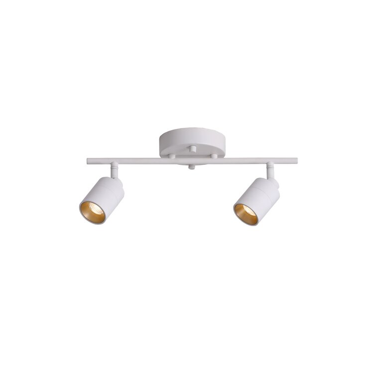 2 light track lighting fixture