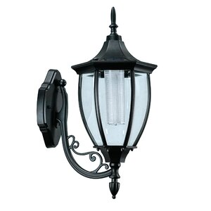 Beech 1-Light Outdoor Wall Lantern