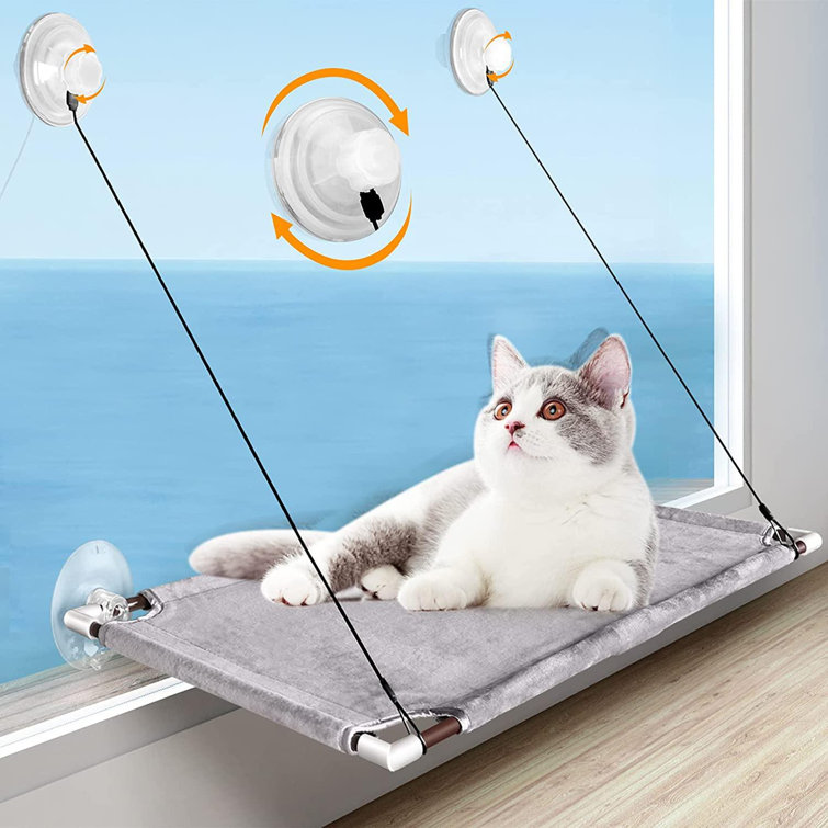 suction cat hammock