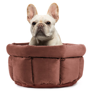 cuddle cups for dogs