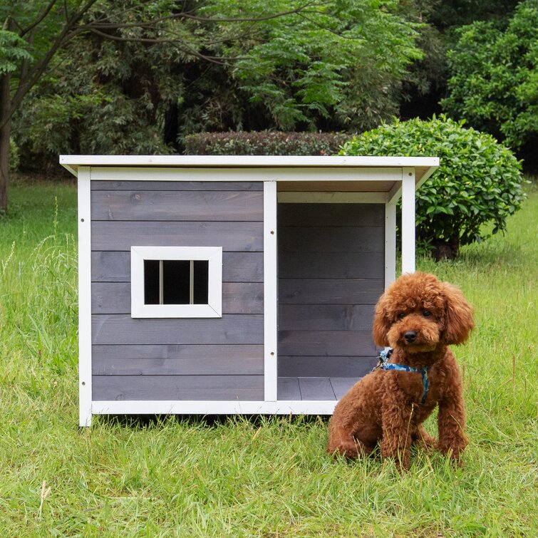 how to keep a dog house warm in winter