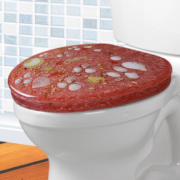 shell toilet seat