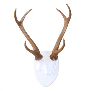 Deer Antlers Wall Decor Wayfair Quickview
