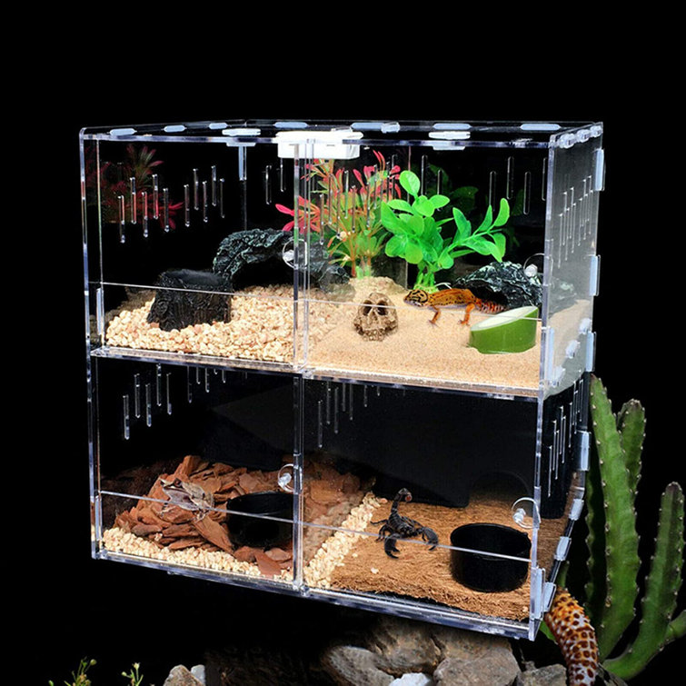 Dalelee Reptile Terrarium Cage 4 Grids Reptile Cage Enclosure Box Tarantula Insect Scorpion Clear Display Case Wayfair