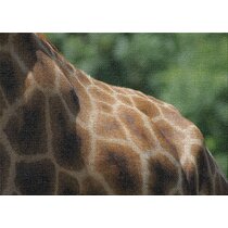 Cartoon Animal Giraffe Nursery Rug Floor Carpet Yoga Mat 50 x 80 cm 1.7 x 2.6 ft Naanle Funny Giraffe Non Slip Area Rug for Living Dinning Room Bedroom Kitchen