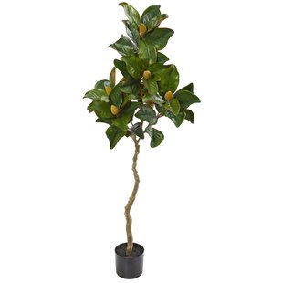 48 In Artificial Magnolia Tree With White Flowers And Black Round Pot Base 