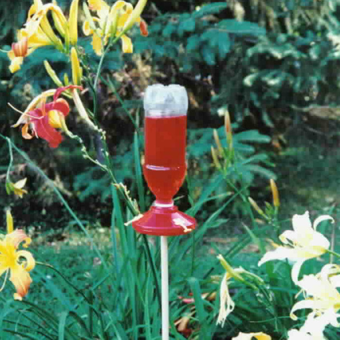 Mcnaughton 2 Pack Soda Bottle Hummingbird Feeders Wayfair