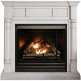 Remote Control Included Gas Fireplaces Stoves You Ll Love In 2020 Wayfair