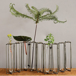 Botanist Metal and 9 Glass Test Tubes Jointed Vase