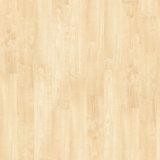 Shaw Floors Wayfair