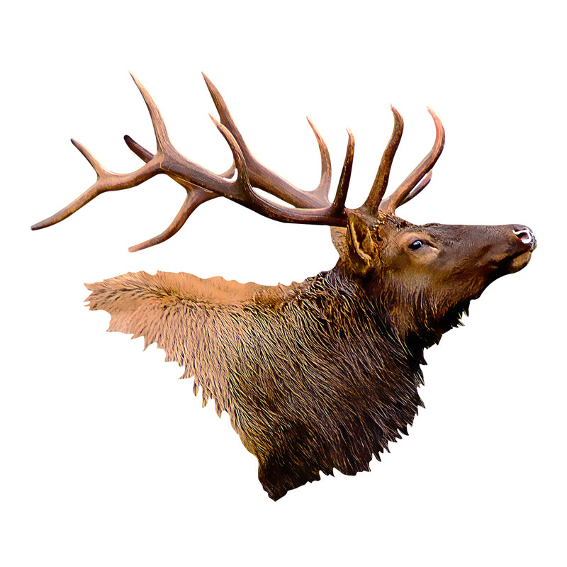 Millwood Pines Elk Head Metal Wall Decor Wayfair