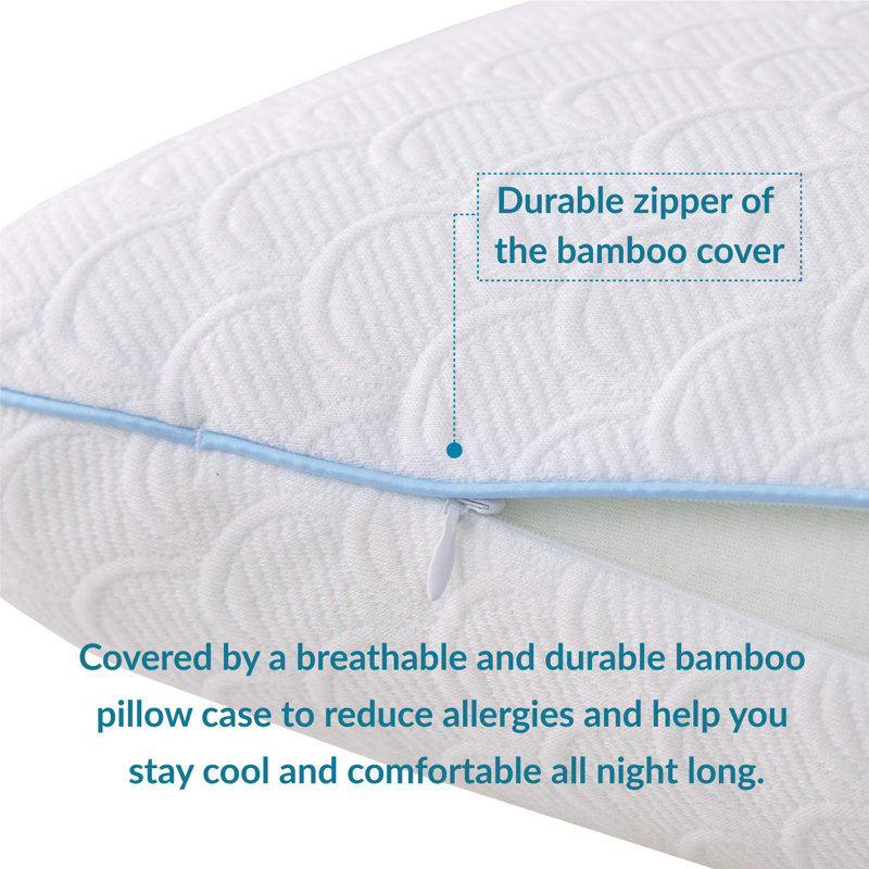 Alwyn Home Baltimore Hydrophilic Firm Gel Memory Foam Standard