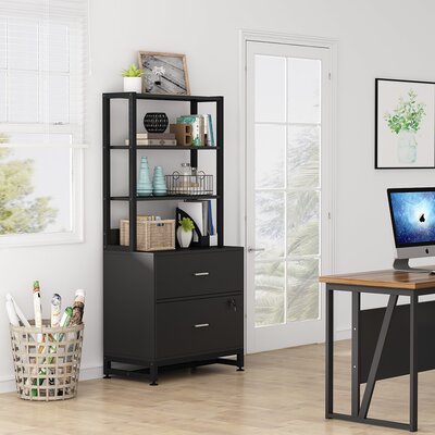 Latitude Run® 29.52'' Wide 2 - Drawer Filing Storage Cabinet & Reviews ...