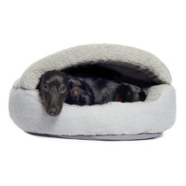 canvas matters dog beds