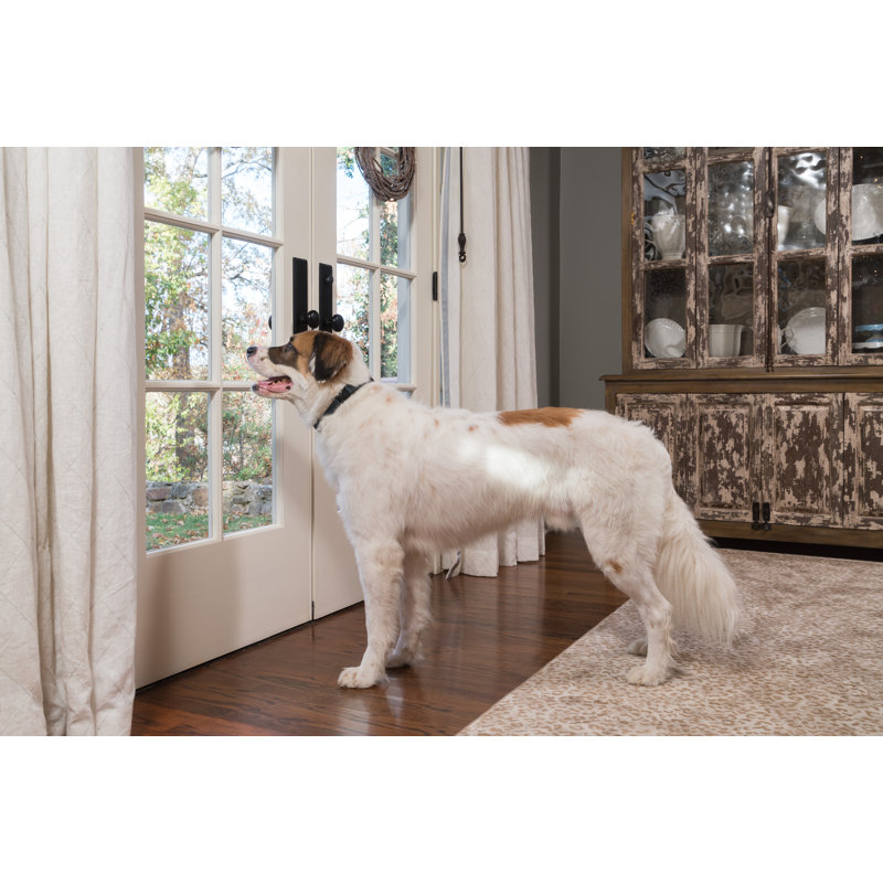 petsafe collar waterproof