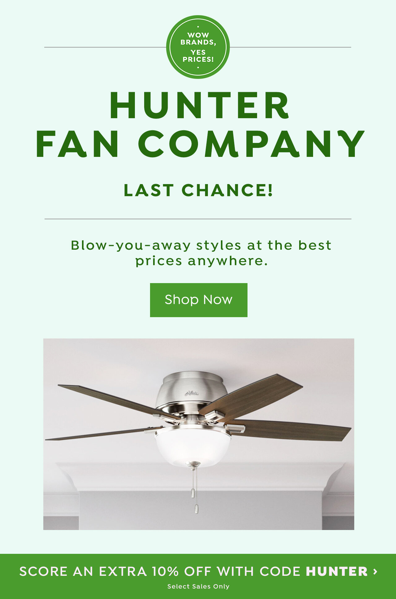 Hunter Fan Company: New & On Now