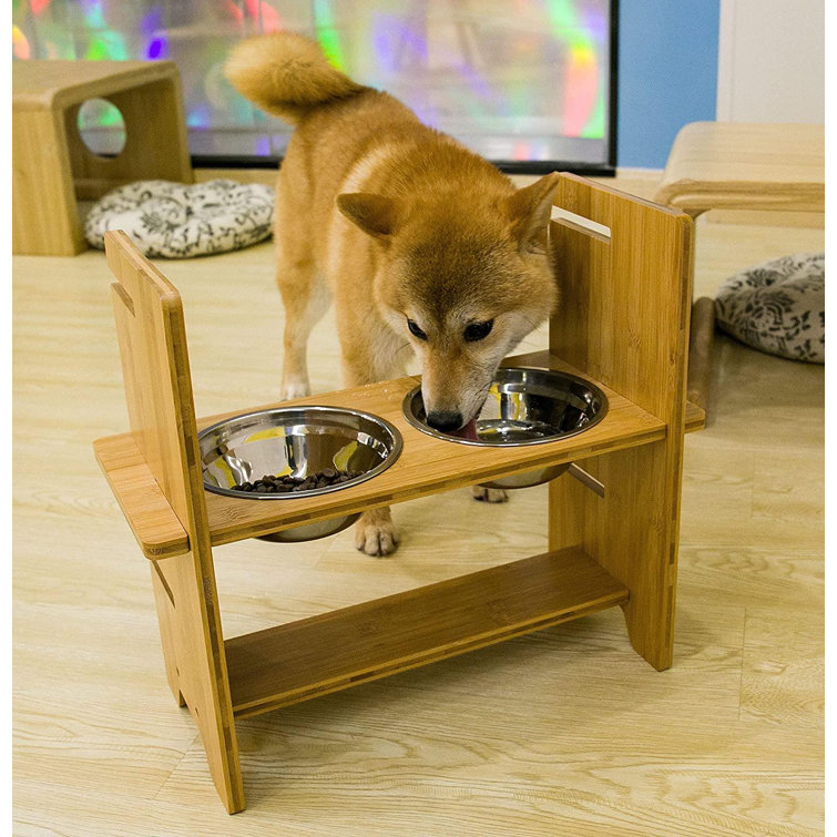 shiba throws food bowl