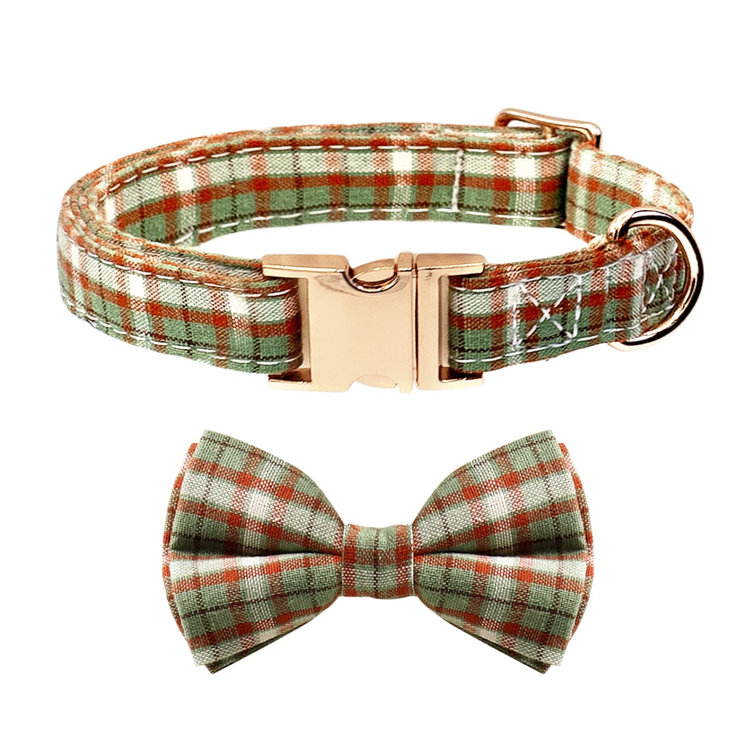 small boy dog collars