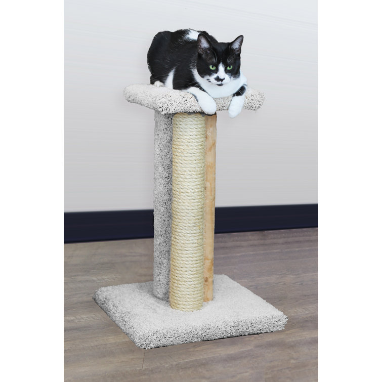 wayfair cat scratchers