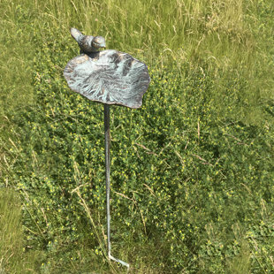 Stake Bird Feeder Wayfair