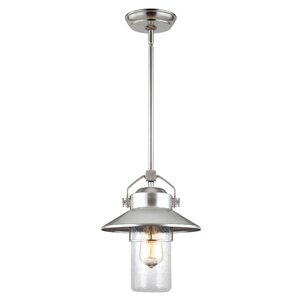 Tolliver 1-Light Outdoor Hanging Pendant