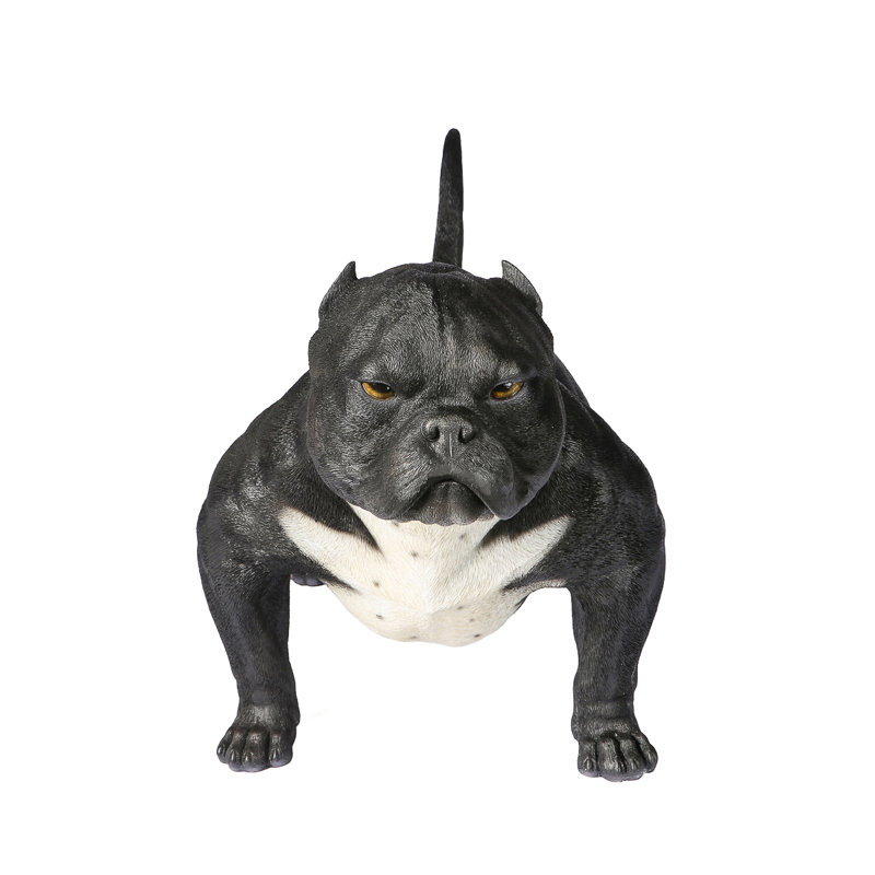 exotic american bulldog