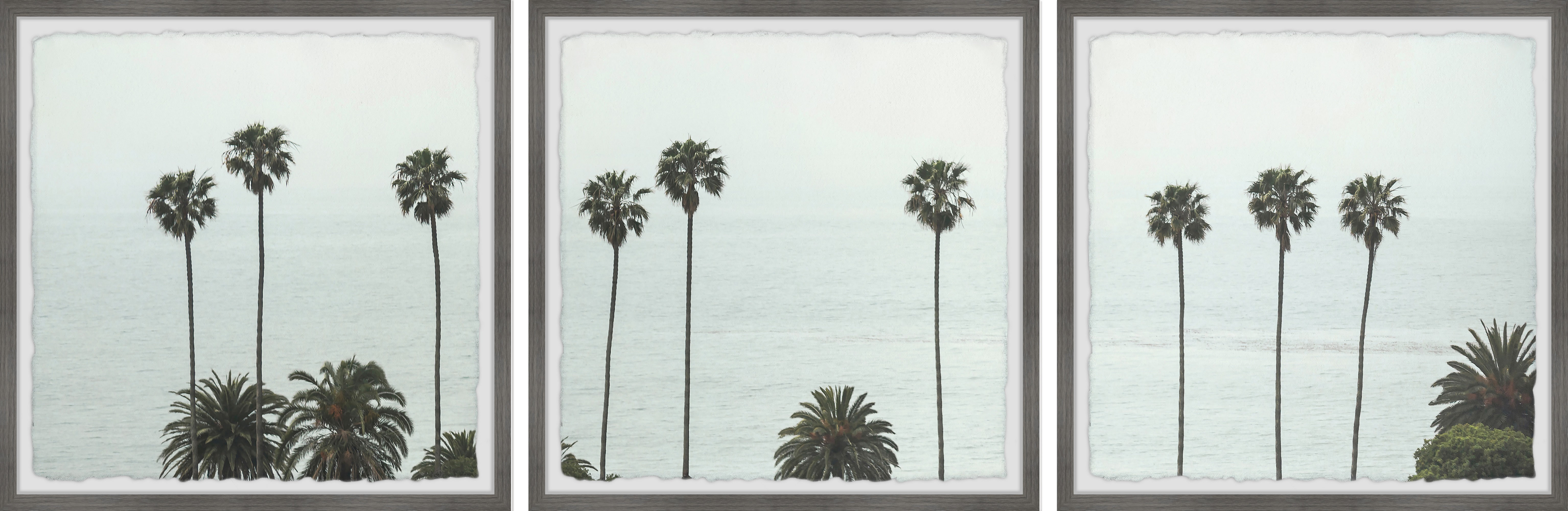 Marmont Hill Tall Coco Palm Trees Triptych Wayfair