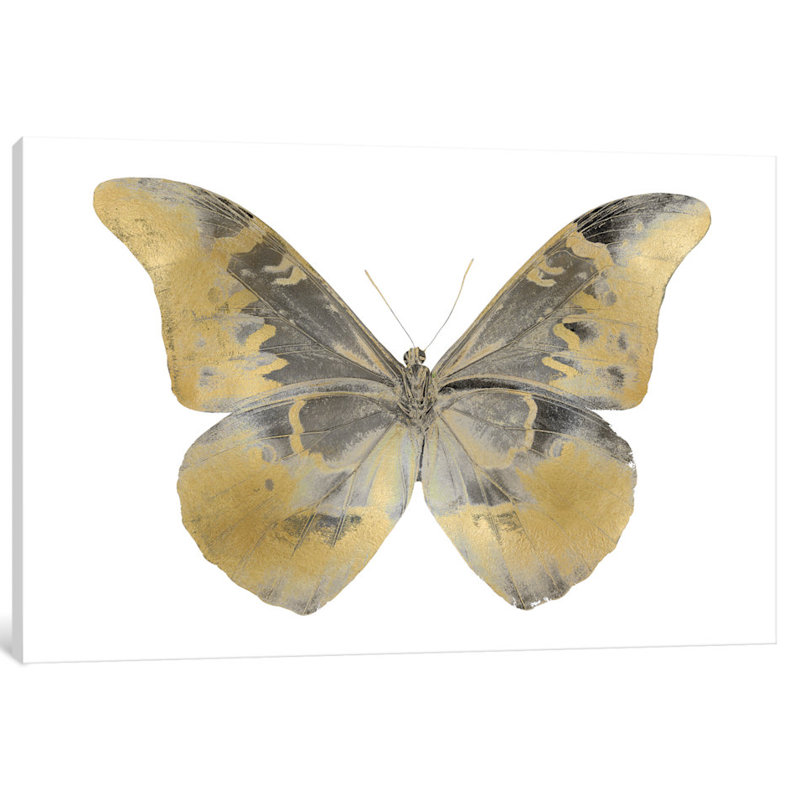 butterfly ii