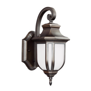 Teri 1-Light Outdoor Wall Lantern