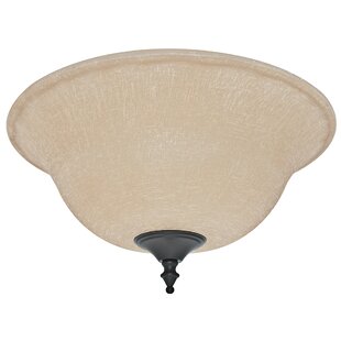 Ceiling Fan Glass Bowl Shade