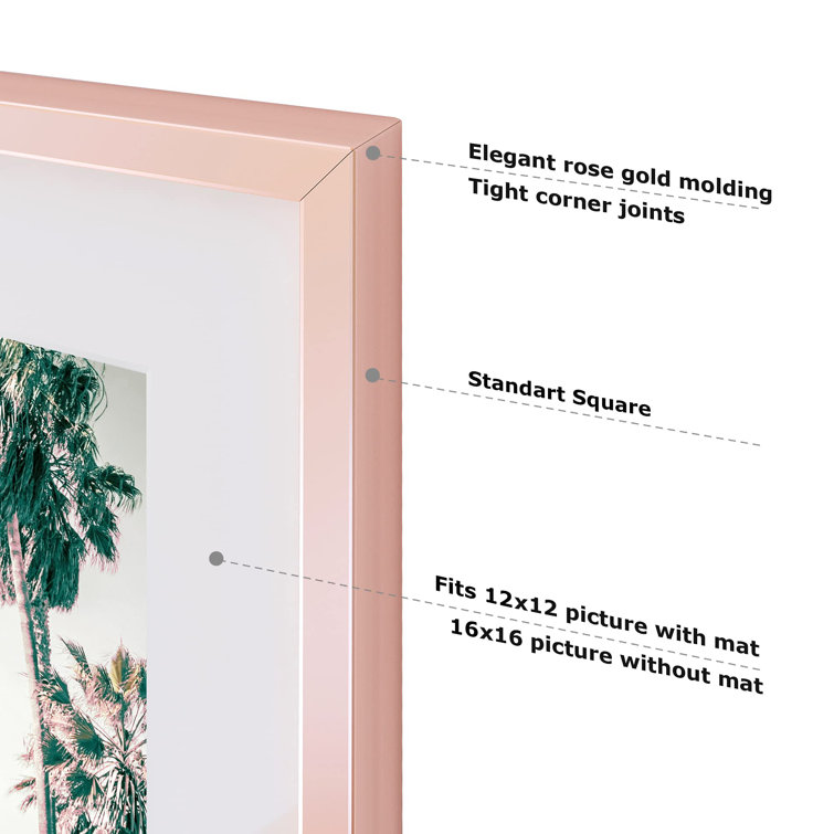 Latitude Run 16x16 Inch Square Picture Frame 16 X 16 Frame Matted To 12x12 Standard Square Photo Frames For 12 X 12 Picture 12x12 Mat Tempered Glass Wall Hook Included Set Of 1 Wayfair