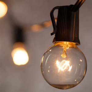 15-Light Globe String Lights