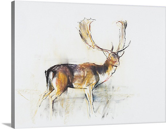 Canvas On Demand Study Of A Stag Charcoal By Mark Adlington