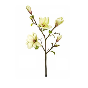 Ten Waterloo 22 Inch Dogwood Blossom Wreath with Pussy Willow Buds Artificial Floral Spring and Summer Wreath