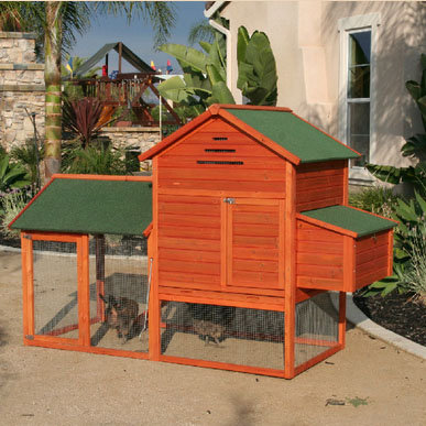 Rugged Ranch Chicken Coop With Chicken Run And Nesting Box For Up To 3 Chickens Wayfair