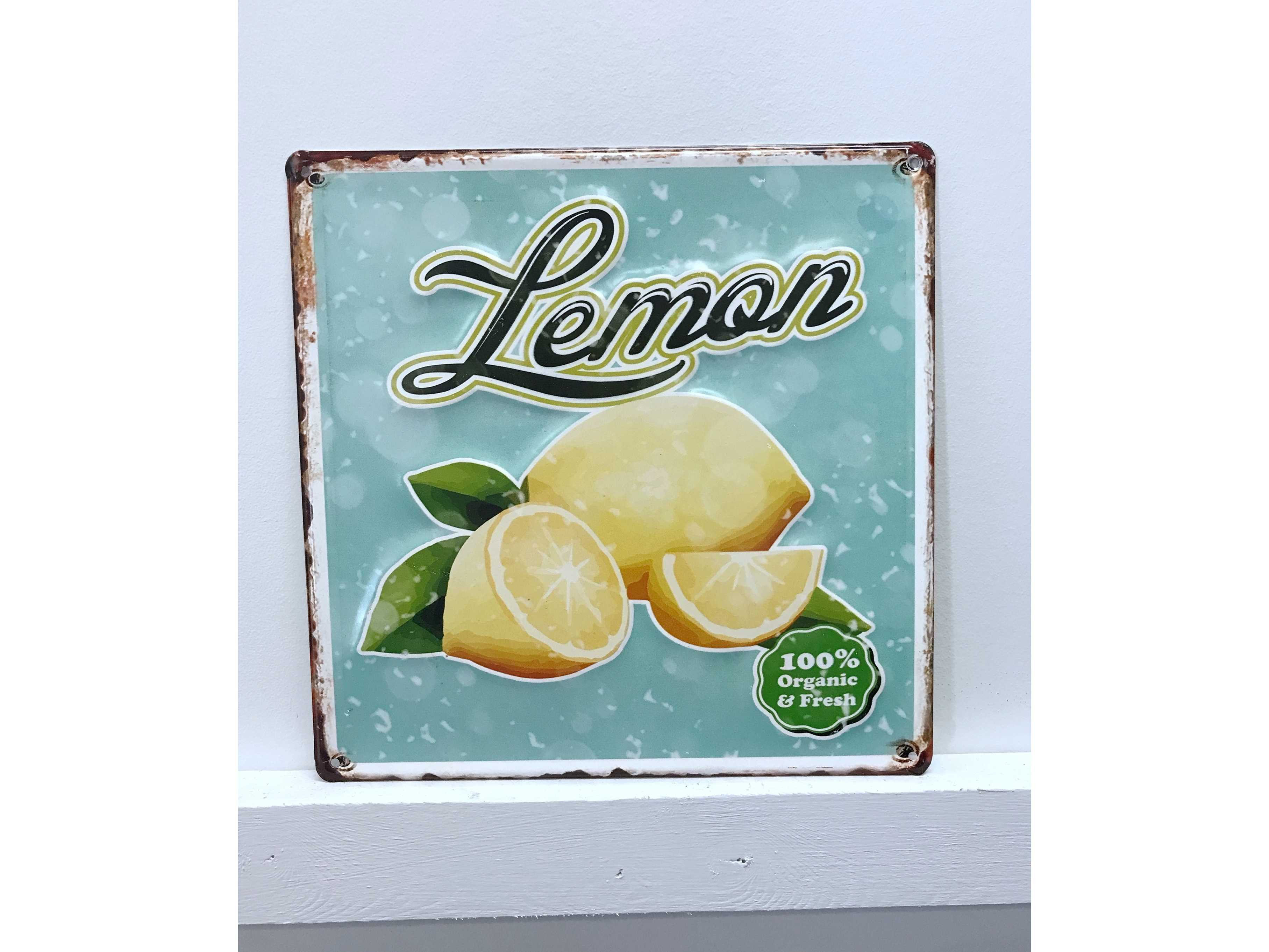 Winston Porter Organic Lemon Vintage Metal Wall Decor Reviews