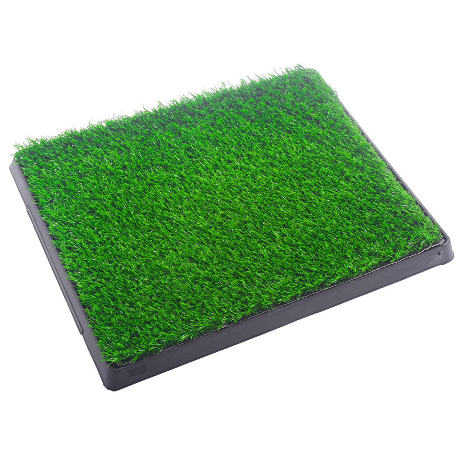 can dogs use artificial grass to go potty