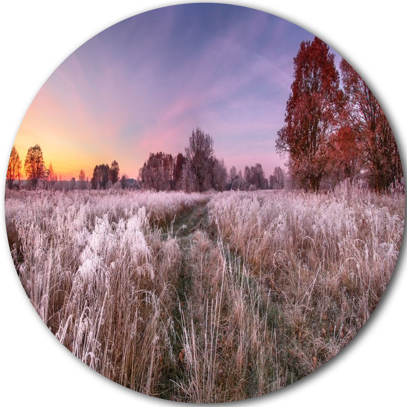 Designart Frosty Fall Trees With Red Leaves Photographic Print On Metal Wayfair